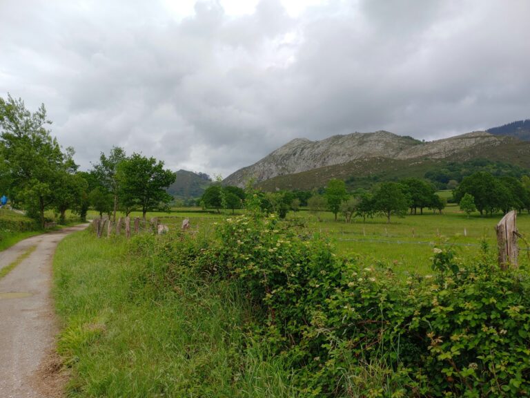 Nobody Mentioned the Driveway When I Dreamed of Living Off-Grid